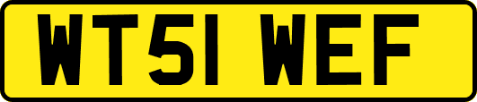 WT51WEF