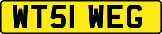 WT51WEG