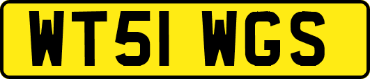 WT51WGS