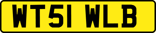 WT51WLB