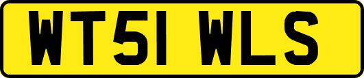 WT51WLS