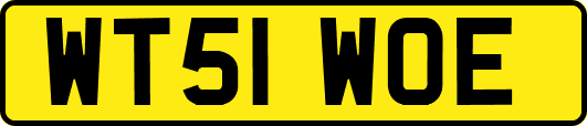 WT51WOE