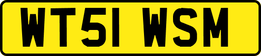 WT51WSM