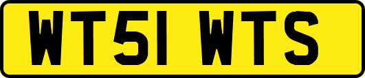 WT51WTS