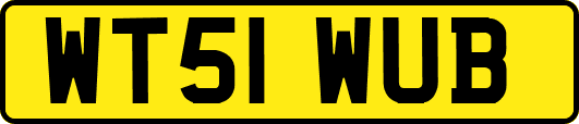 WT51WUB