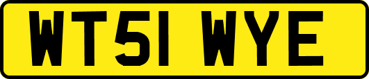 WT51WYE