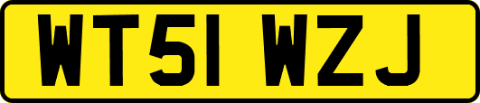 WT51WZJ