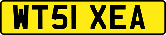 WT51XEA