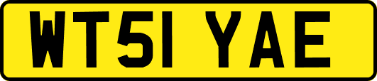 WT51YAE