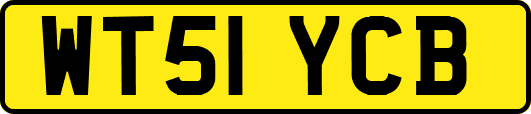 WT51YCB
