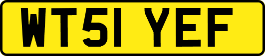WT51YEF
