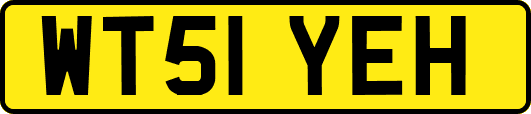 WT51YEH