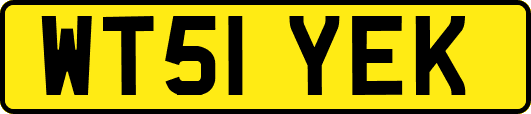 WT51YEK