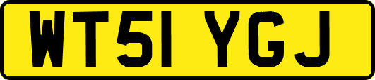 WT51YGJ