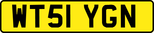 WT51YGN