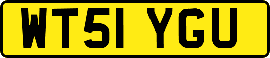 WT51YGU