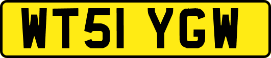 WT51YGW