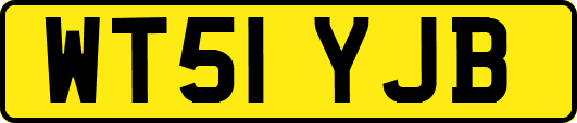 WT51YJB