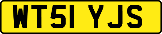 WT51YJS