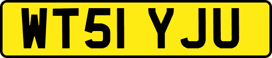 WT51YJU