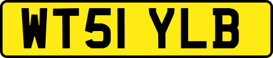 WT51YLB