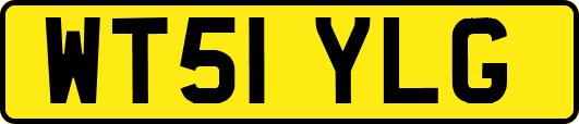WT51YLG