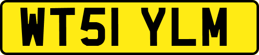 WT51YLM