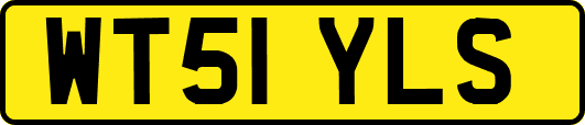 WT51YLS