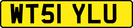 WT51YLU