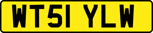 WT51YLW