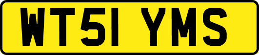 WT51YMS