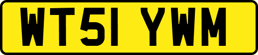 WT51YWM