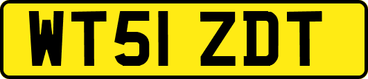 WT51ZDT