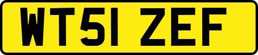 WT51ZEF