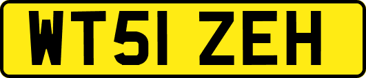 WT51ZEH