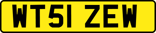 WT51ZEW
