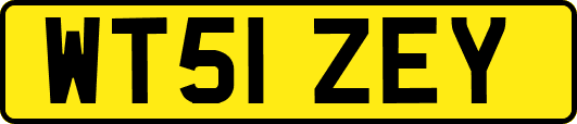 WT51ZEY