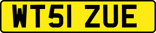 WT51ZUE