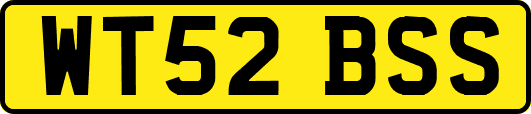 WT52BSS