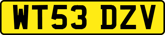 WT53DZV