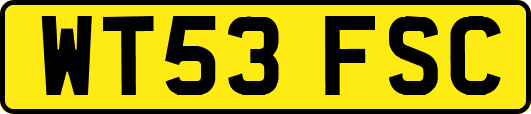 WT53FSC