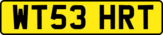 WT53HRT