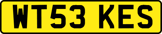 WT53KES