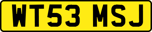 WT53MSJ