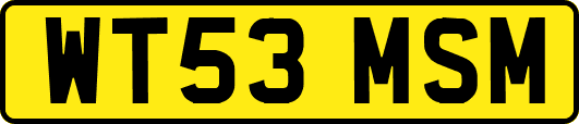 WT53MSM