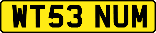 WT53NUM