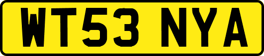 WT53NYA