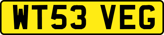 WT53VEG