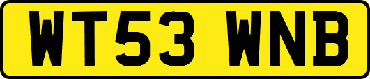WT53WNB
