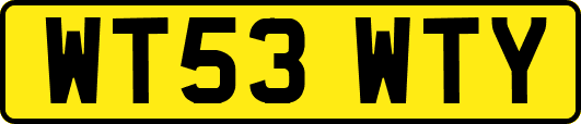 WT53WTY